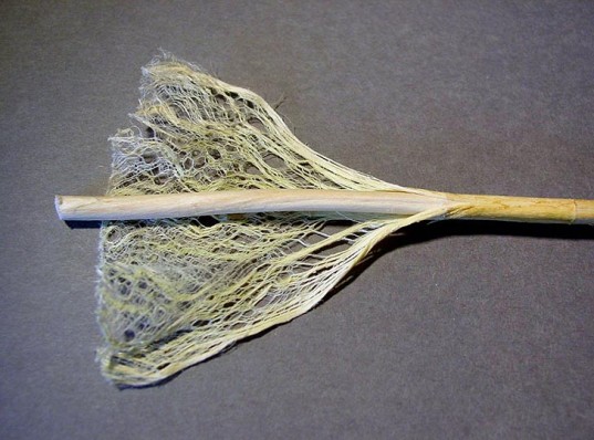 Hemp Fiber Supercapacitor