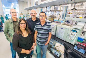 From left, John Gladden, Seema Singh, Blake Simmons and Jian Shi led the development at JBEI of a one-pot system for the ionic liquid pretreatment and saccharification of switchgrass for biofuel production. (Photo by Roy Kaltschmidt)